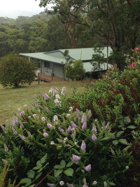 Southern Anchorage Retreat Wattle Hill Extérieur photo